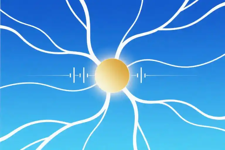 Science-Backed Stress Relief Techniques That Actually Work