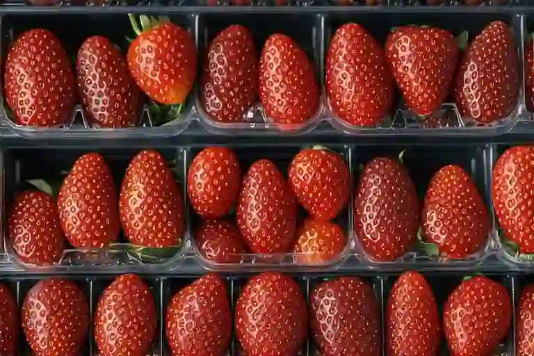 The Hidden Cost of Perfect Supermarket Strawberries