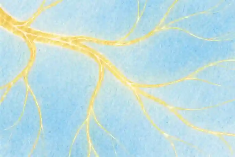 The Hidden Strength of Highly Sensitive People